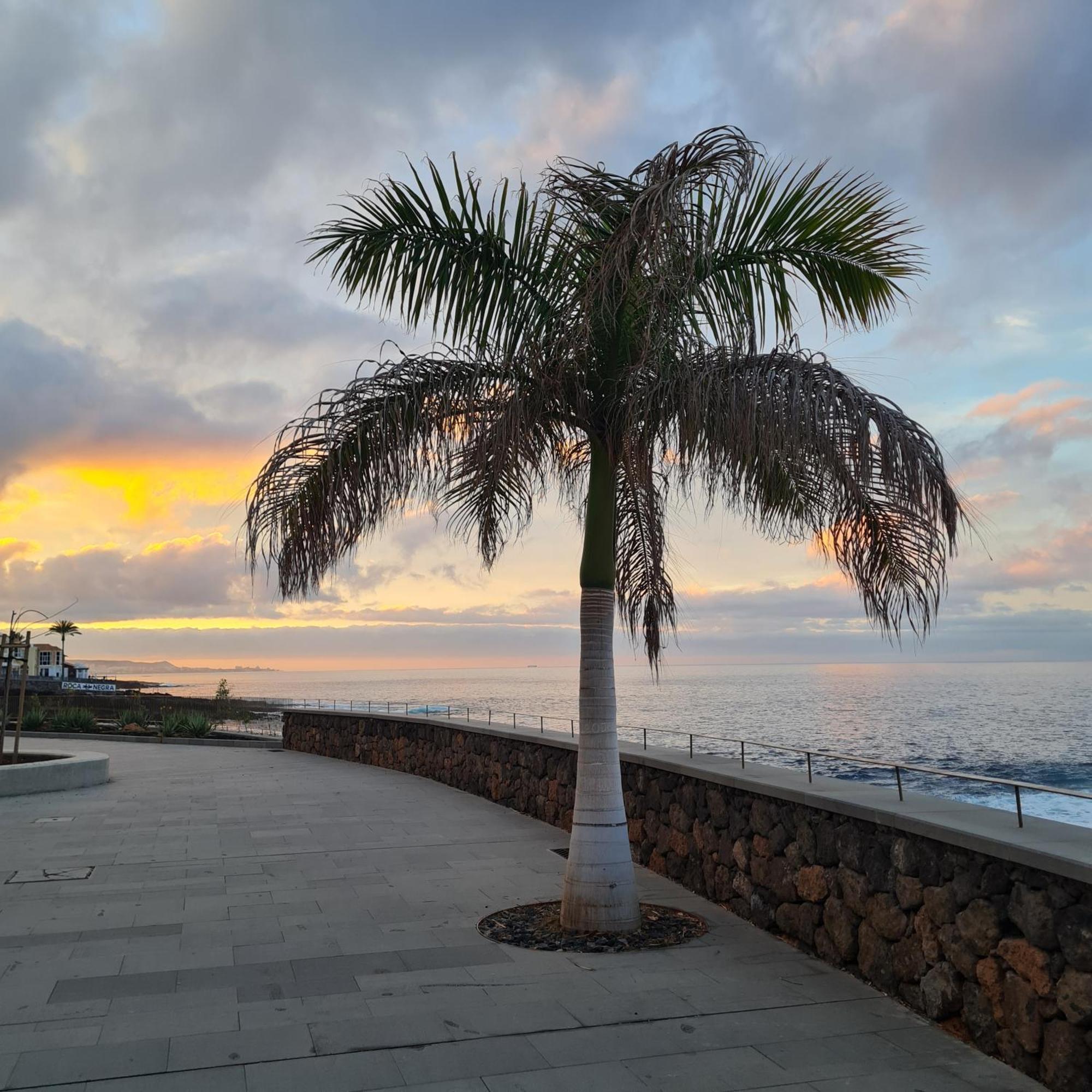 Sunshine Paraiso Costa Adeje  Eksteriør bilde